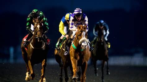 Horse Racing Tips Timeforms Three Best Bets At Kempton On Wednesday