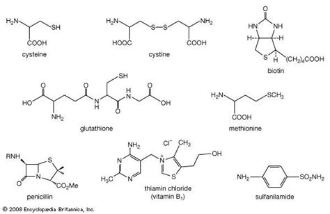 Diagram Naming Compounds Diagram Mydiagramonline