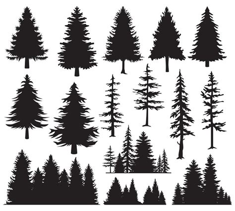 Pine Tree Silhouette Vector Art Icons And Graphics For Free Download