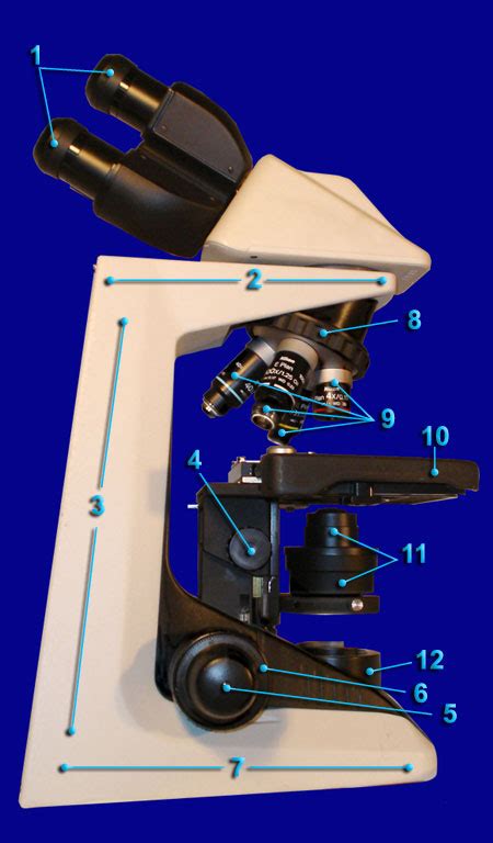 Life Sciences Biology Microscope Side