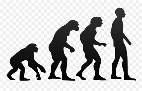 Evolution Clip Art 10 Free Cliparts Download Images On Clipground 2021