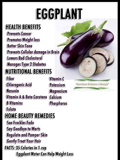 eggplant eggplant health benefits eggplant benefits nutrition