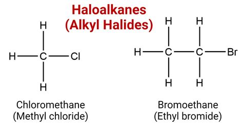 20 Unbelievable Facts About Alkyl Halide