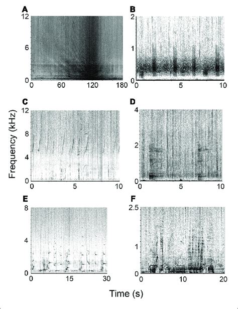 Representative Spectrograms Of Various Sound Sources Within The