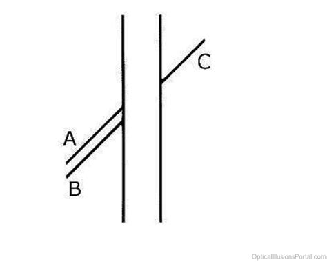 We did not find results for: 28 Good Ponzo Illusion