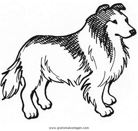 Lassie 3 Gratis Malvorlage In Beliebt09 Diverse Malvorlagen Ausmalen