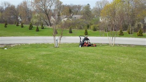 Lawn Fertilization Services In Milwaukee Mequon Nelsons Specialty
