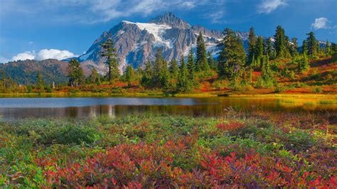 We did not find results for: #Miessence loves this image of #MountShuksan | North ...