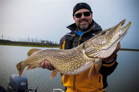The Beginners Guide To Northern Pike Fishing Field And Stream
