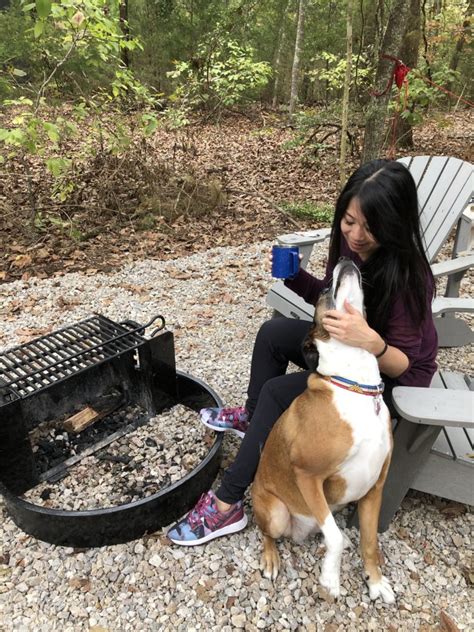 We did not find results for: Everything you need to know about the Tiny Cabin Getaway ...