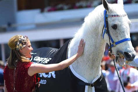Big boobed german milf cleaning lady fucked. Melbourne Cup winner Subzero winning health battle