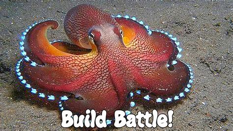 Find best minecraft build battle servers in the world for pc or pe and vote for your favourite. EL PULPO MADAFAKA! Minecraft BUILD BATTLE! - YouTube