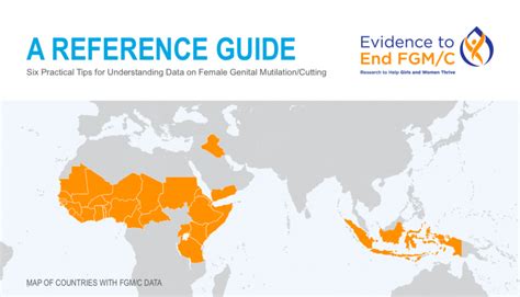 a reference guide six practical tips for understanding data on female genital mutilation