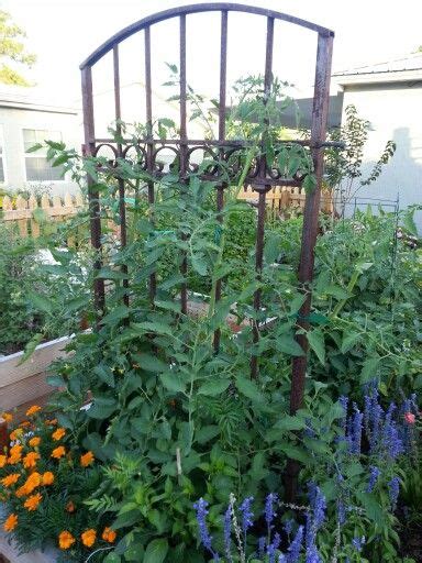 10 Amazing Upcycled Trellis Ideas To Add Interest To Your Garden