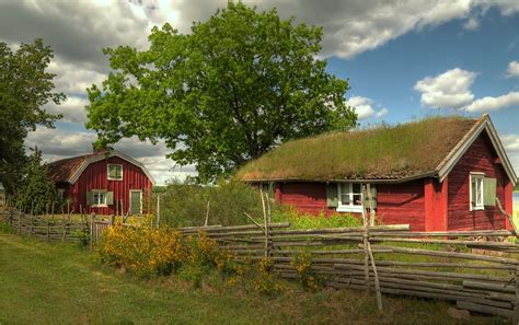 Great savings on hotels in mönsterås, sweden online. Mönsteras / Schweden Foto & Bild | mönsteras 2016 ...
