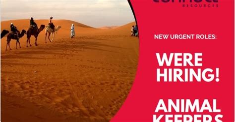 Zoo Jobs: Animal Keepers