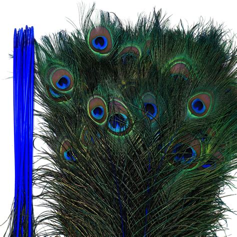 12 COLORS Peacock Eye Feathers 8-15
