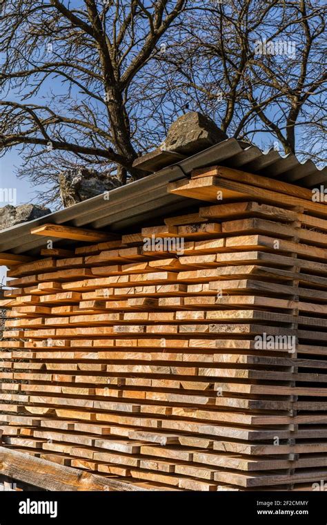 Wooden Planks And Beams Air Drying Timber Stack Wood Air Drying Wood