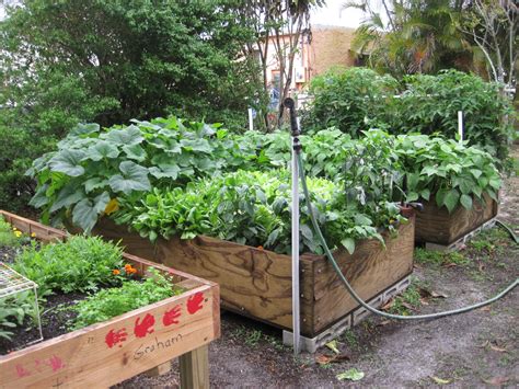 Raised beds are great for any kind of plant but work particularly well for growing vegetables. Soil Solarization for Raised Gardens