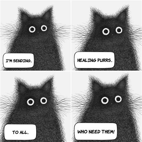 Emotional Support Animal Cat Comics Curious Cat Cartoon Cat Cat