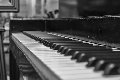 Black And White Depth Of Field Musical Instrument Piano Piano Keys