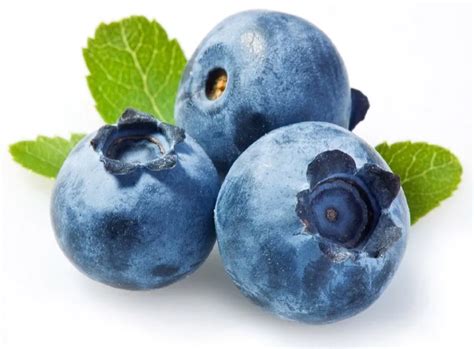 Buy Online Fresh Blue Berry In Dubai UAE Fresh Leaf UAE
