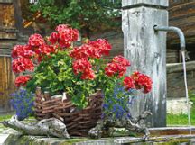 333 likes · 10 talking about this · 313 were here. Bayerische Blumen Zentrale Geschenke u. Geschenkartikel ...