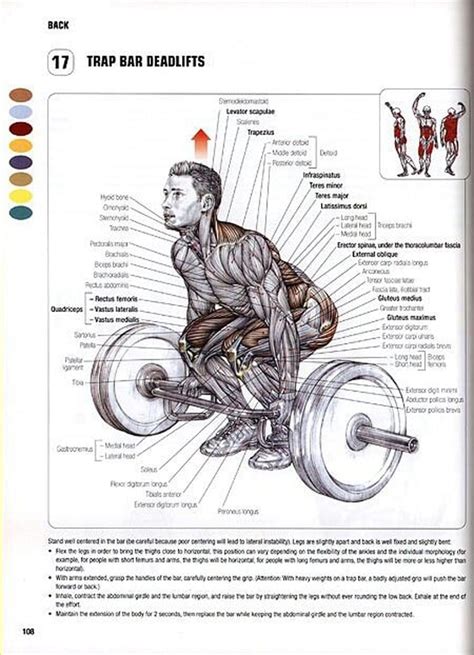 9 Hex Bar Deadlift Benefits To Get Fit Without Barbell Deadlifts