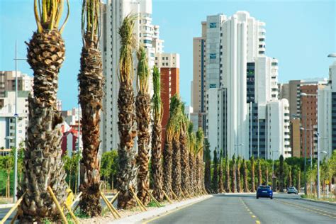 Elche or elx is a city and municipality of spain, belonging to the province of alicante, in the valencian community. Elche España - Stock Fotos e Imágenes - iStock