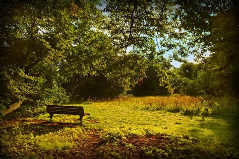 Why A Peaceful Place Helps Quiet Your Mind Remove Mental Noise