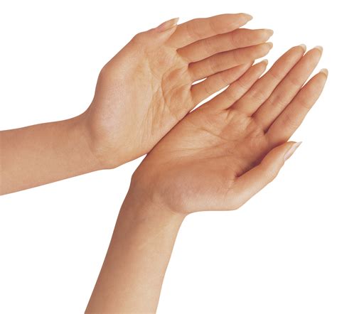 Hands Clipart Wrist Hands Wrist Transparent Free For Download On