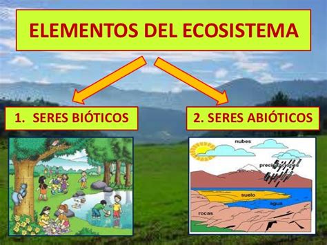 Ecosistemas Mapa Conceptual De Factores Bioticos Y Abioticos Cloobx Hot Girl