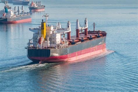 Bulk Carrier