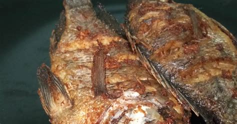 Kali ini strek bertubi tubi ikan garing dan ikan mas di sungai ber arus, kita menggunakan umpan supermi. Resep Ikan nila goreng garing sederhana oleh Dinny kusuma ...