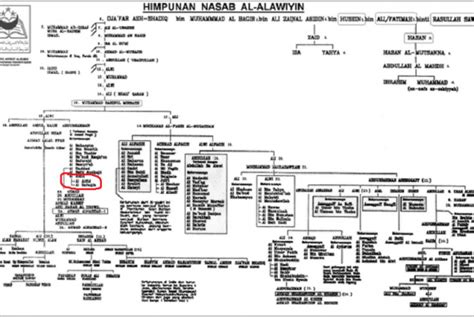 Memang terjadi banyak perbedaan pendapat mengenai silsilah nabi muhammad saw dari adnan ke atas. Apakah Benar Aidit Keturunan Nabi Muhammad?