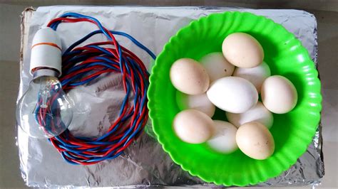 1 trays, each tray have 100. How to Make A Mini Egg Incubator at Home Using Only Bulb ...