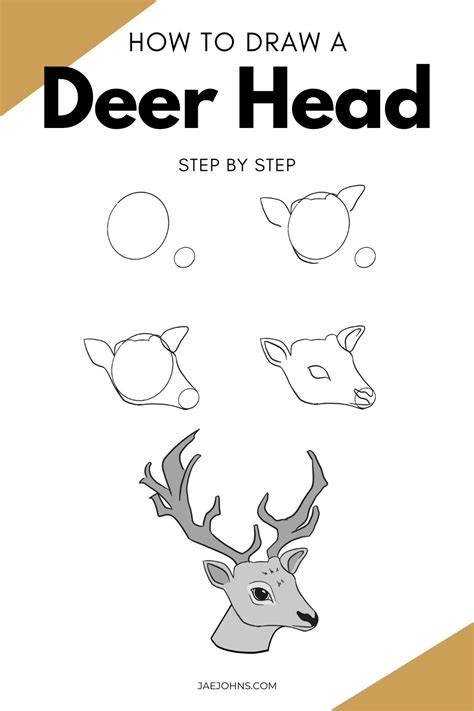 How To Draw A Deer Head In 8 Easy Steps Jae Johns