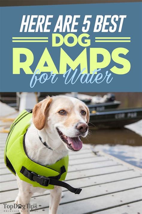 Before there were doggy boat ladders and pet steps, there was doggydocks® floating dog ramp. 5 Best Water Ramps for Dogs | Dog ramp, Dog pool ramp, Dog ...