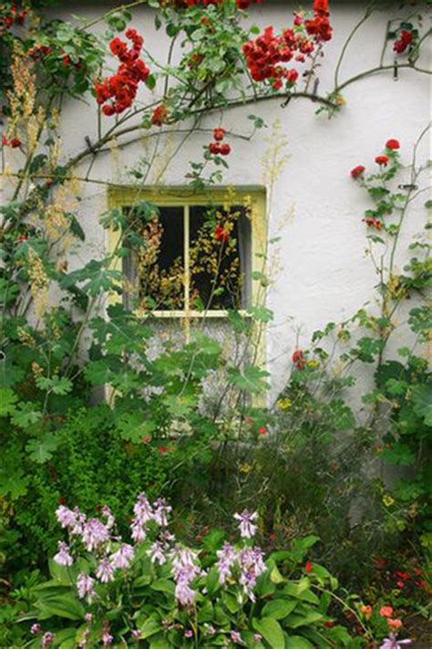 453 Best Images About Cottage Garden On Pinterest Front