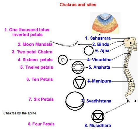 Pin By THE ELIXAR On Chakras Kundalini Sahaja Yoga Sanskrit Mantra