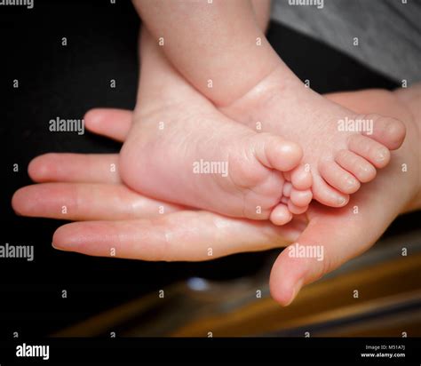 Feet Of Newborn Baby In The Hand Of Mother Sweet Babys Feet Stock