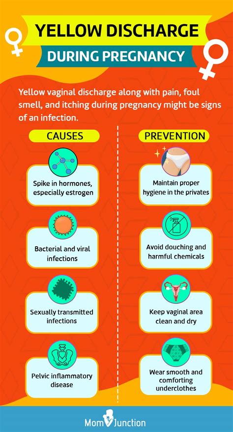 Yellow Discharge During Pregnancy Causes And Treatment
