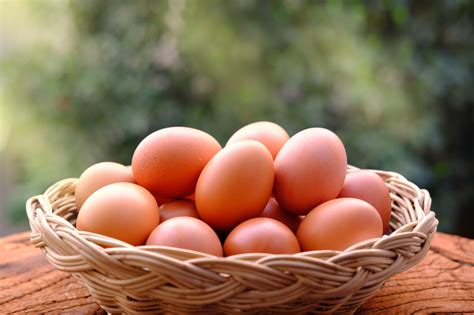 An egg-cellent day of celebration coming up with World Egg Day on