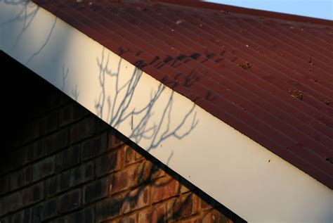 Roof With Fascia Board Free Stock Photo Public Domain Pictures