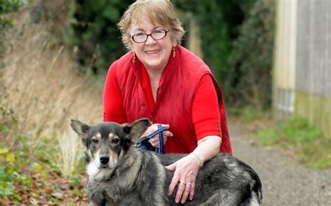 Real Life Lassie Saves Elderly Woman From Freezing Ditch