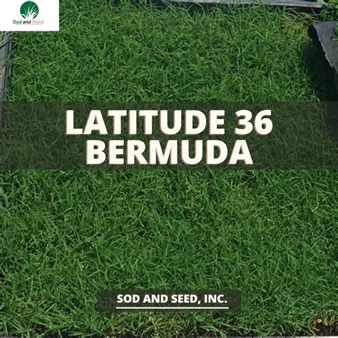 Latitude 36 Bermudagrass Sod Delivery Ratings And Pricing Sod And Seed