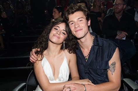 Camila Cabello Shares Comment After Shawn Mendes Teases New Music