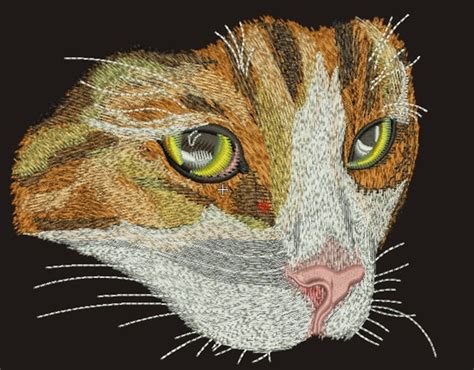 Cat Machine Embroidery Designs Tested Etsy