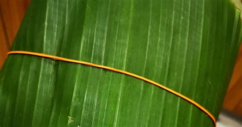 We did not find results for: Ikan Keli Salai Masak Lemak Cili Padi — VANILLA FREAK