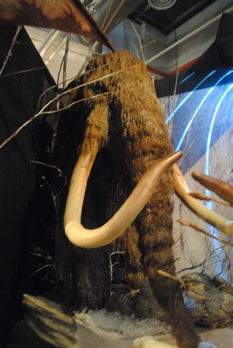 Anyway, pusat sains negara is a must visit place for kids. mozack"s world - dunia ku: PUSAT Sains ALor Star, Kedah ...
